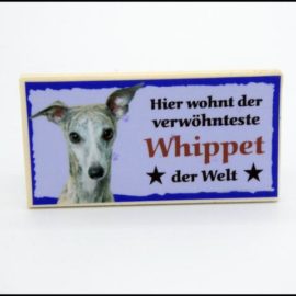 Whippet Windhund